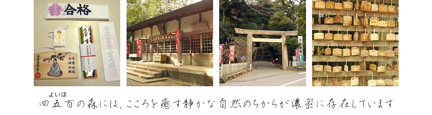 ヘッダーイメージ